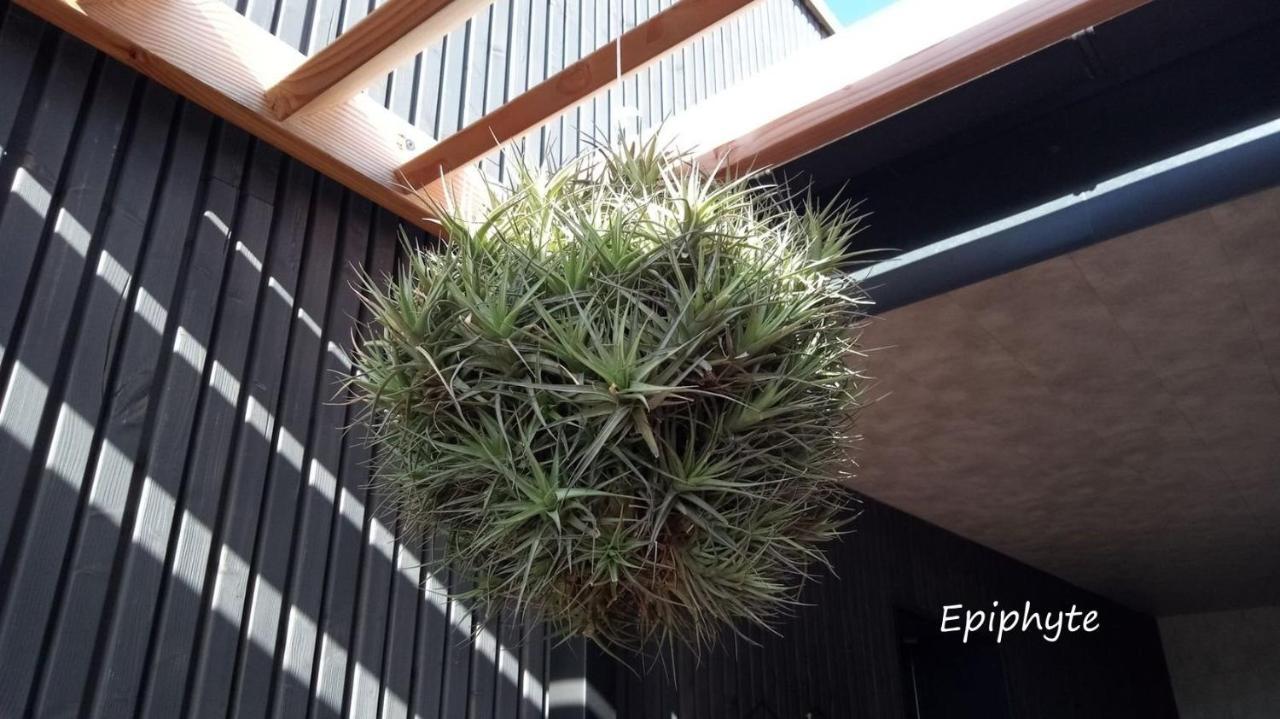 Apartamento Epiphytes Et Succulentes Paimpol Exterior foto